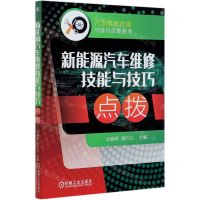 [N]新能源汽车维修技能与技巧点拨/汽车维修技能与技巧点拨丛书-9787111650461