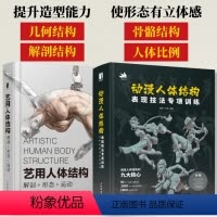 [正版]套装2册动漫人体构表现技法专项训练+艺用人体结构 解剖形态运动 肌肉骨骼造型技法素描绘画形体艺术解剖形体动漫人