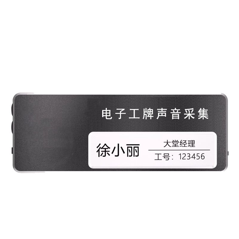 泰迪信 DSJ-H60 电子工牌声音采集