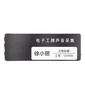 泰迪信 DSJ-H60 电子工牌声音采集