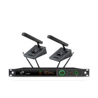 DEIYUS迪宇声BH-2600一拖二无线麦克风