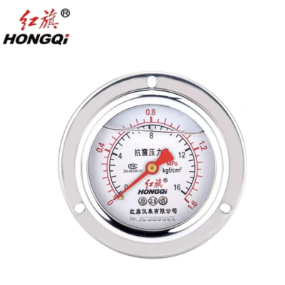 红旗 耐震压力表定制检测款YTN60ZT 块