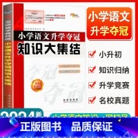 语文 小学通用 [正版]小学语文升学夺冠知识大集结全套人教版小升初名校冲刺总复习六年级下册必刷题68所名校专项训练小学毕