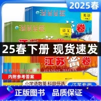 语文+数学+英语(3本)-江苏专用 二年级下 [正版]2025春新版江苏密卷一二三四五六年级上下册期中期末卷语文数学英语