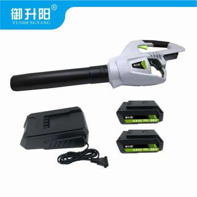御升阳 36V锂电吹风机 SY3616两电一充(36VB4) 套