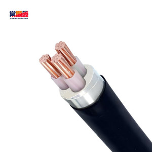 常顺鑫 低压铜芯电缆ZC-YJV22 3×120 米