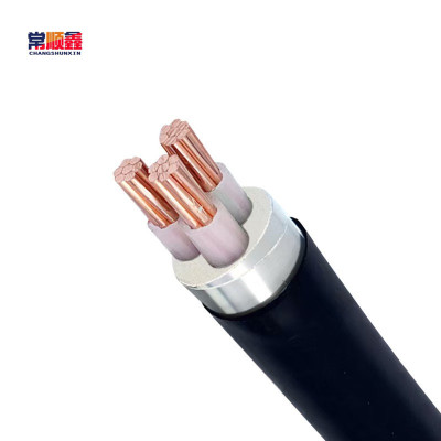 常顺鑫 低压铜芯电缆ZC-YJV22 3×120 米