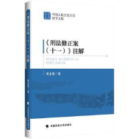 音像刑法修正案(十一)注解杨金彪著