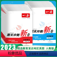 语文+数学[人教版套装] 一年级上 [正版]2023秋小学期末冲刺新卷语文数学上册RJ版1-6年级专项模拟真题冲刺卷人教