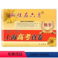 数学 高中三年级 [正版]2023年灿烂在六月 上海高考真卷 数学 2012-2023上海高考数学历年真卷汇编 高三数学