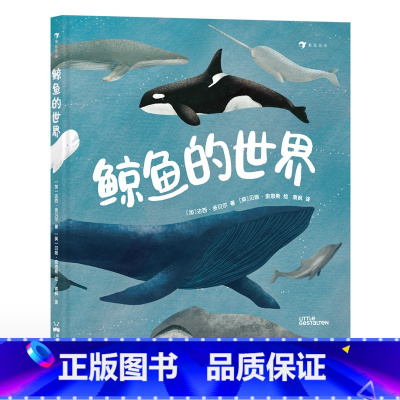 鲸鱼的世界 [正版]鲸鱼的世界 7-10岁 知识性与艺术性兼具的高颜值科普图册 海洋生命 科普 童书