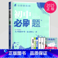 数学 九年级下 人教版 [正版]2024新版初中必刷题九年级上册下册数学英语化学物理九下人教版苏科版苏教版沪教江苏初三