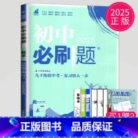数学 九年级下 人教版 [正版]2024新版初中必刷题九年级上册下册数学英语化学物理九下人教版苏科版苏教版沪教江苏初三