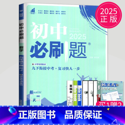 数学 九年级下 人教版 [正版]2024新版初中必刷题九年级上册下册数学英语化学物理九下人教版苏科版苏教版沪教江苏初三