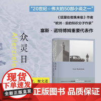 众灵日 诺特博姆作品 狐狸在夜晚来临的先声艾柯库切苏童梁文道 荷兰现代长篇小说 柏林墙两德统一二战第三世界 译林正版