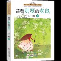 正版新书]名家经典童话悦读系列:蔷薇别墅的老鼠王一梅97875570