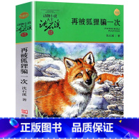 再被狐狸骗一次 [正版]沈石溪动物小说品藏书系列全集36册 斑羚飞渡第七条猎狗后一头战象雪豹悲歌珍藏版全套画本生肖