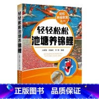 [正版]轻轻松松池塘养淡水鱼 锦鲤养殖技术书籍 鱼病科学 轻松养殖致富系列 淡水鱼养殖及鱼病诊断与防治大全 金鱼生态养