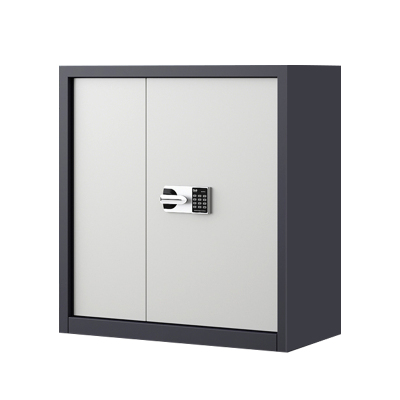 湘渭指纹电子保密柜钢制密码文件柜档案柜矮柜资料柜办公柜 单节灰白:国保锁