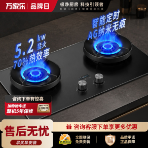 万家乐燃气灶H6 MAX 5.2kw大火力台嵌两用70%高热效率 天然气灶