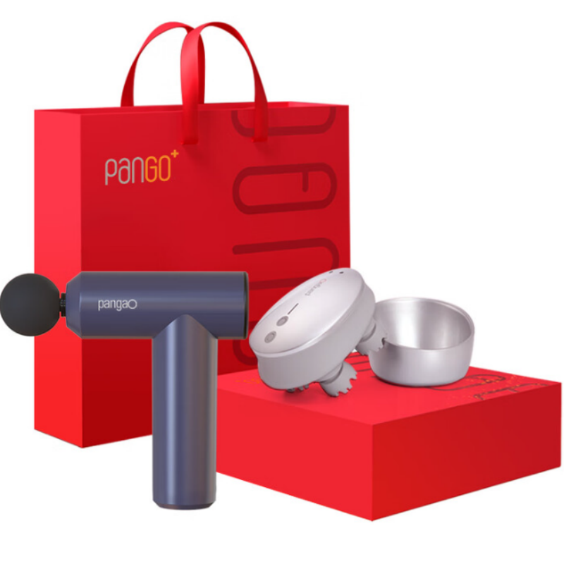 攀高(PANGAO) 按摩器礼盒套装腹部腰部按摩仪颈椎按摩器脉冲热敷按摩组合套装PG-M191+PG-2705