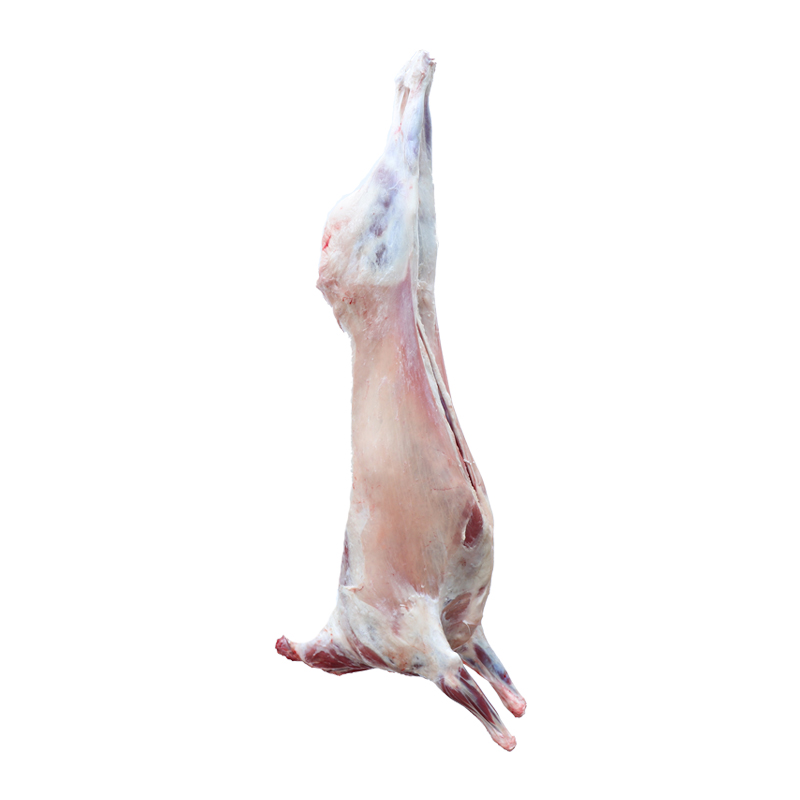 塞上滩 宁夏盐池滩羊整只36斤生鲜羊肉烤全羊新鲜羊排羊腿绵羊