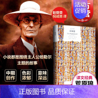 [正版] 荒原狼 赫尔曼黑塞著精装版德米安彷徨少年时同作外国小说文学作品集书籍世界经典名著 上海译文出版社