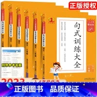 53句式训练大全 二年级上 [正版]2024新版句式训练大全三年级二年级一四五六53小学基础练语文人教版上册下册仿写句子