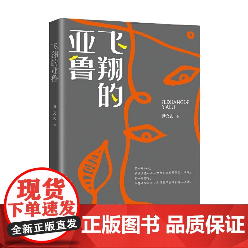 飞翔的亚鲁(跨度小说文库)