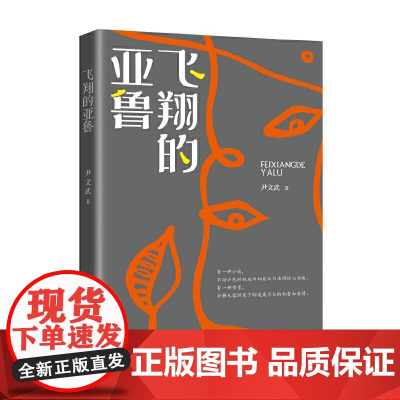 飞翔的亚鲁(跨度小说文库)