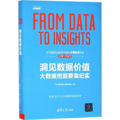 正版新书]洞见数据价值:大数据挖掘要案纪实毕马威中国大数据团