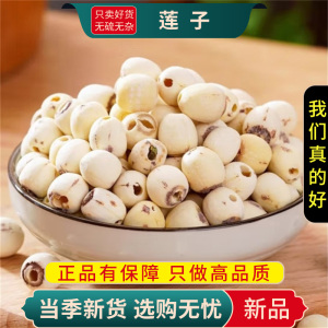 莲子100克正品干货白莲子新货干莲子去芯连子白果仁9260