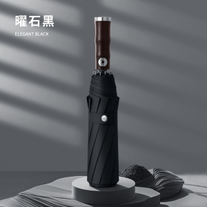 BR 全自动折叠雨伞大号男款加固加厚结实抗风晴雨两用女太阳伞遮阳伞 把