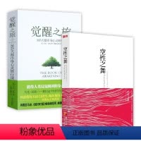 [正版]2册空性之舞+觉醒之旅 阿迪亚香提马克尼波的禅悟感受当下的正念此刻是一枝花禅修冥想书籍何为活出生命的意义365