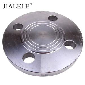 JIALELE 盲板 DN-300 片