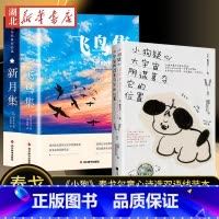 [全3册]飞鸟集+新月集+小狗疑心大宇宙阴谋 [正版]飞鸟集 中英双语 泰戈尔文学获奖作品 经典世界名著老师力j初中生小