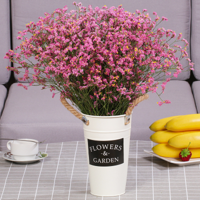 满天星干花花束勿忘我大花束客厅家居装饰摆件-红水晶大束不是2斤