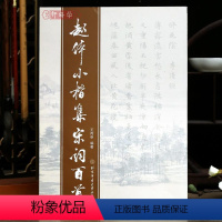 [正版]赵体小楷集宋词百首 王定远主编 北京体育大学出版社 中国元代法帖楷书 书籍赵孟頫楷书毛笔字帖赵孟俯