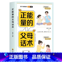 正能量的父母话术 [正版]正能量的父母话术训练手册 正面管教育儿 温柔的教养父母 语言青春期养育男孩女孩非暴力沟通教育孩