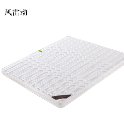 风雷动椰棕床垫家用棕垫10cm防螨抗菌(0胶水天然椰棕+软硬两用+全拆洗)900mm*2000mm