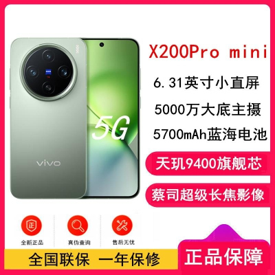 vivo X200 Pro mini 钛青 16GB+1TB 天玑9400 5G 蔡司超级长焦90W 5700毫安大毫安