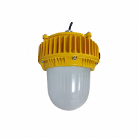 顶火 GMD8160 电压AC220V 功率50W IP66 防爆平台灯 计价单位:盏 黄色