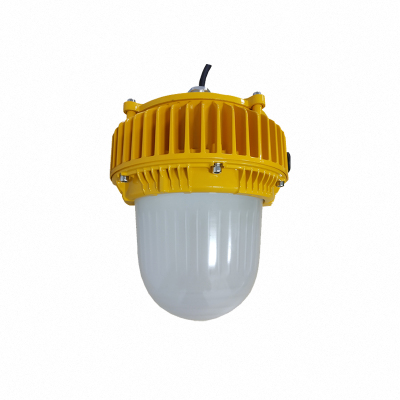 顶火 GMD8160 电压AC220V 功率50W IP66 防爆平台灯 计价单位:盏 黄色