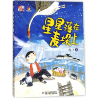 音像星星落在麦垛上霞子 著;赵光宇 绘