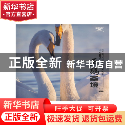 正版 天鹅圣境 崔林 中国林业出版社 9787521918908 书籍