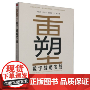 重塑:数字战略实战