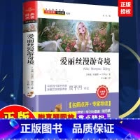 [正版]爱丽丝漫游奇境记书爱丽丝梦游仙境小学版小学生7-12岁青少年版老师快乐读书吧三四五六年级课外书籍下册必读