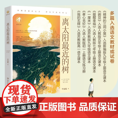离太阳最近的树 新知文库小学生课外阅读书籍一二三四五六年级暑期书单同步阅读训练儿童文学读物校园成长故事散文小说正版