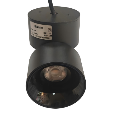 古信悬浮射灯8W/个