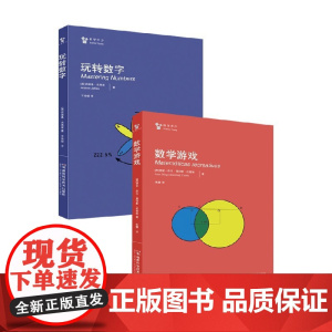 玩转数字+数学游戏 胡安·迭戈·桑切斯·托雷斯 著 数理化
